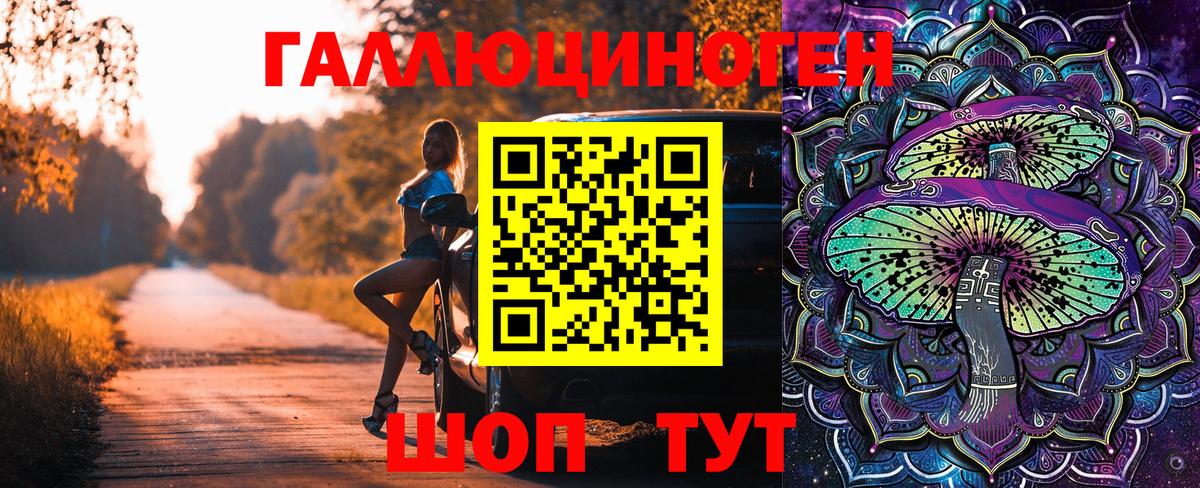 Псилоцибиновые грибы GOLDEN TEACHER Дмитров
